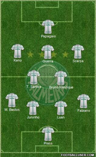 SE Palmeiras Formation 2018