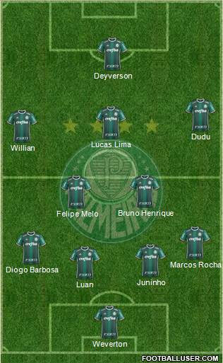 SE Palmeiras Formation 2018