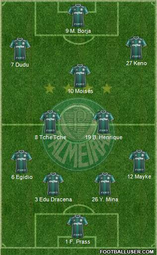 SE Palmeiras Formation 2018