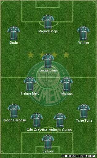 SE Palmeiras Formation 2018