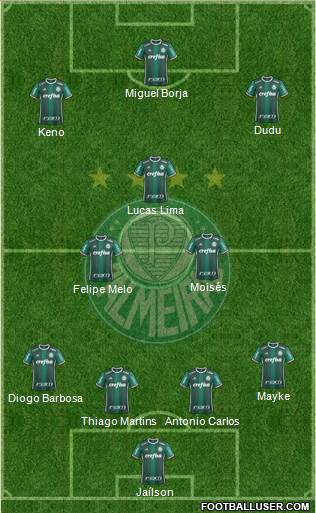 SE Palmeiras Formation 2018