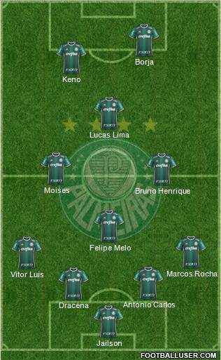 SE Palmeiras Formation 2018