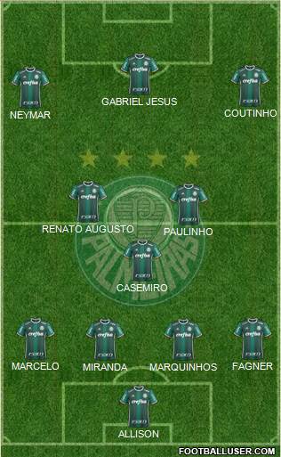 SE Palmeiras Formation 2018