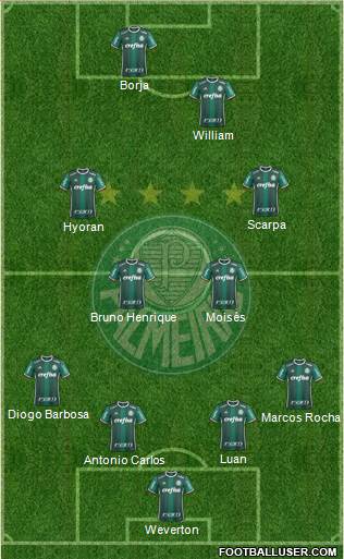 SE Palmeiras Formation 2018