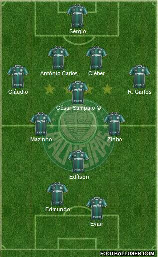 SE Palmeiras Formation 2018