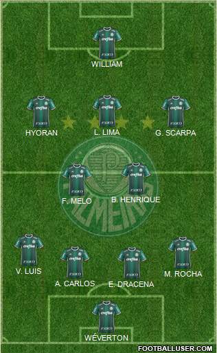 SE Palmeiras Formation 2018