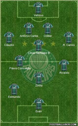 SE Palmeiras Formation 2018