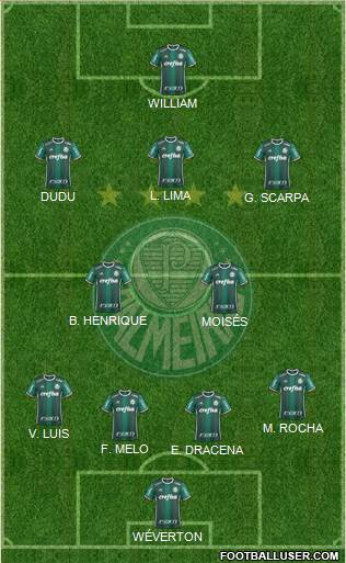 SE Palmeiras Formation 2018