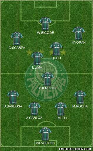 SE Palmeiras Formation 2018