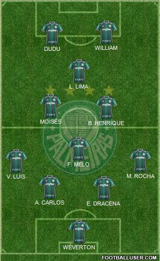 SE Palmeiras Formation 2018