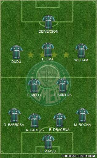 SE Palmeiras Formation 2018