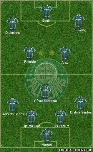 SE Palmeiras Formation 2018