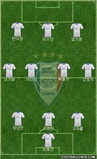 Suwon Samsung Blue Wings Formation 2018