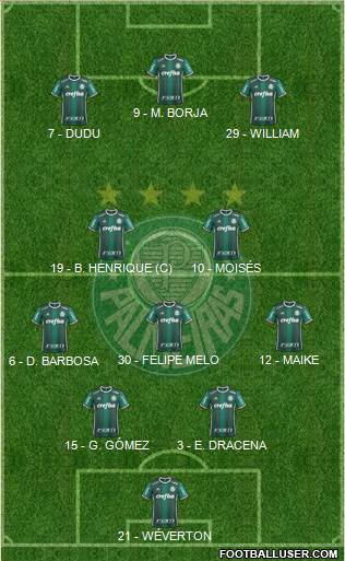 SE Palmeiras Formation 2018