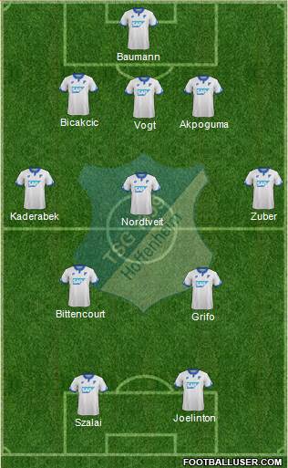 TSG 1899 Hoffenheim Formation 2018