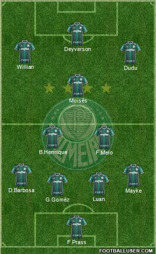 SE Palmeiras Formation 2018