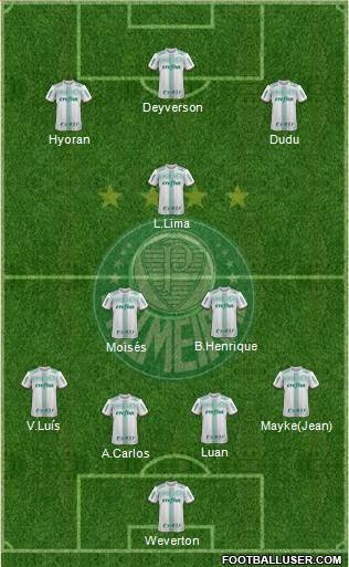 SE Palmeiras Formation 2018