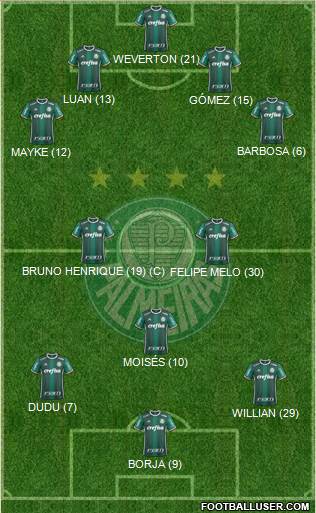 SE Palmeiras Formation 2018