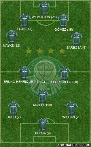 SE Palmeiras Formation 2018