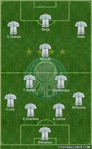 SE Palmeiras Formation 2018