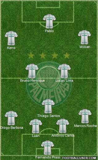 SE Palmeiras Formation 2018