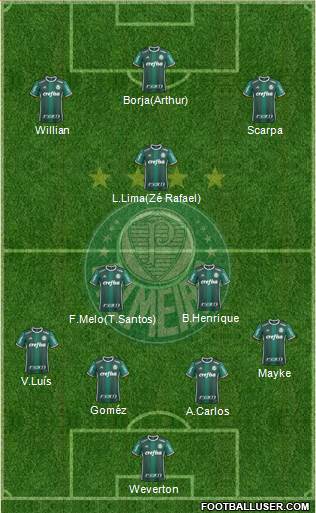 SE Palmeiras Formation 2018