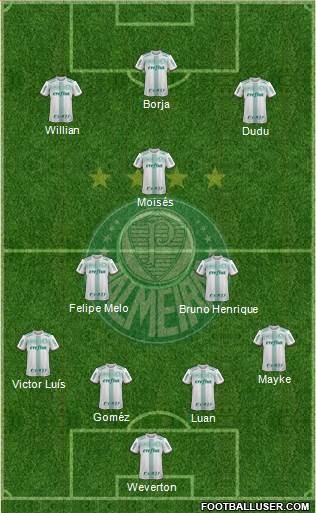 SE Palmeiras Formation 2018