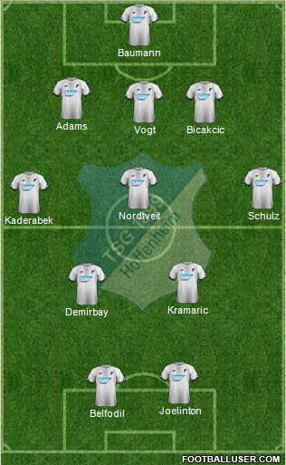 TSG 1899 Hoffenheim Formation 2018