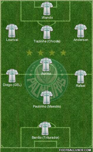 SE Palmeiras Formation 2018