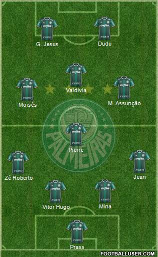 SE Palmeiras Formation 2018