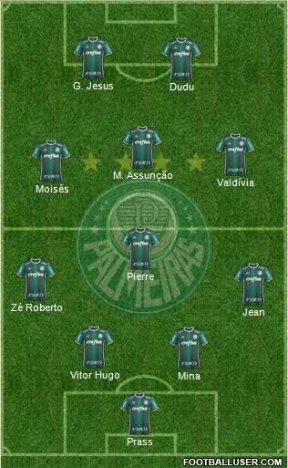 SE Palmeiras Formation 2018