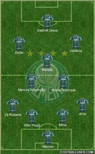 SE Palmeiras Formation 2018