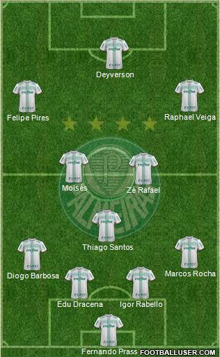 SE Palmeiras Formation 2018