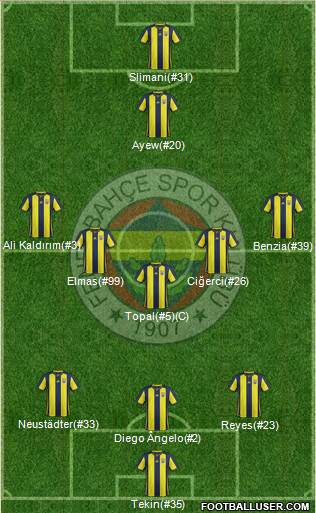 Fenerbahçe SK Formation 2018