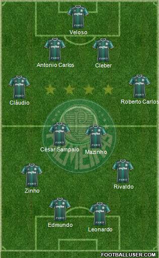 SE Palmeiras Formation 2018