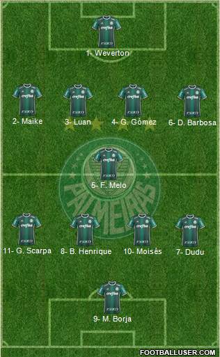 SE Palmeiras Formation 2018