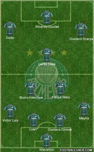 SE Palmeiras Formation 2019