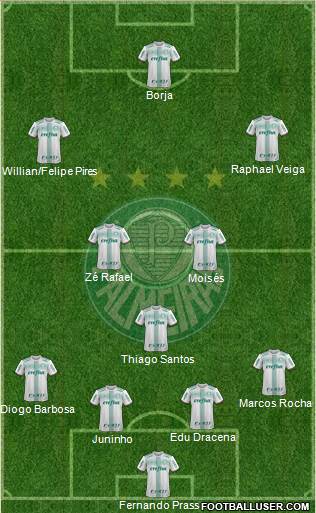 SE Palmeiras Formation 2019