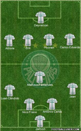 SE Palmeiras Formation 2019