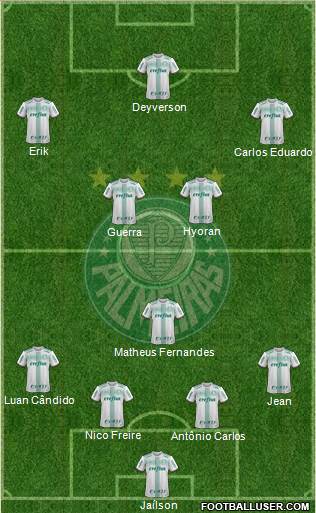 SE Palmeiras Formation 2019