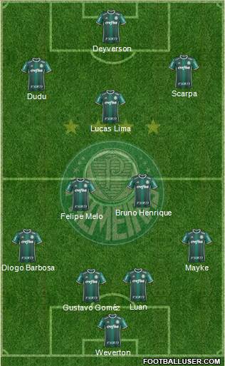 SE Palmeiras Formation 2019