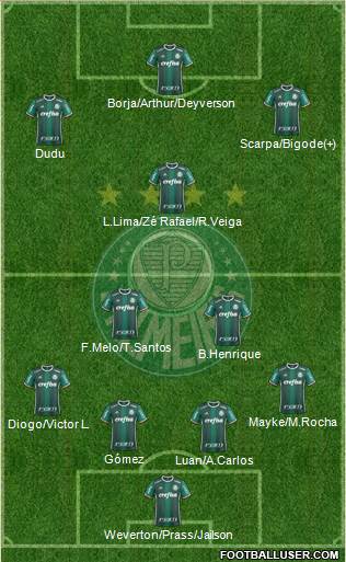 SE Palmeiras Formation 2019