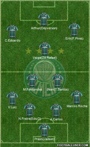 SE Palmeiras Formation 2019