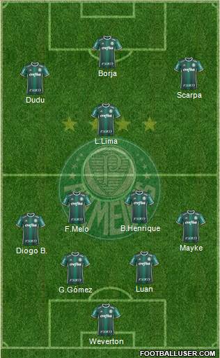 SE Palmeiras Formation 2019