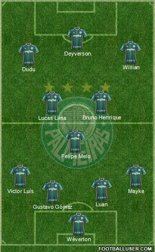 SE Palmeiras Formation 2019