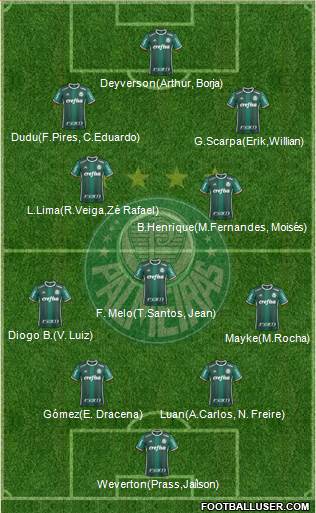 SE Palmeiras Formation 2019