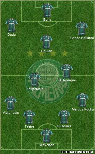 SE Palmeiras Formation 2019