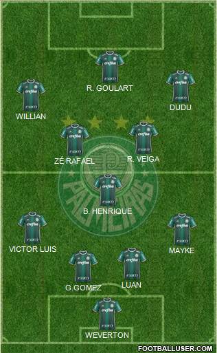 SE Palmeiras Formation 2019