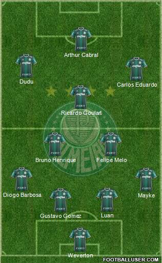 SE Palmeiras Formation 2019