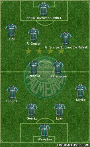 SE Palmeiras Formation 2019